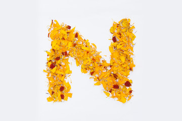 Spring Flower Letter concept of Marigold petal. Marigold petal alphabet isolated on white background. Letter N concept Logo.