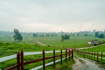 Fototapeta na wymiar Green landscape with a fence and a road