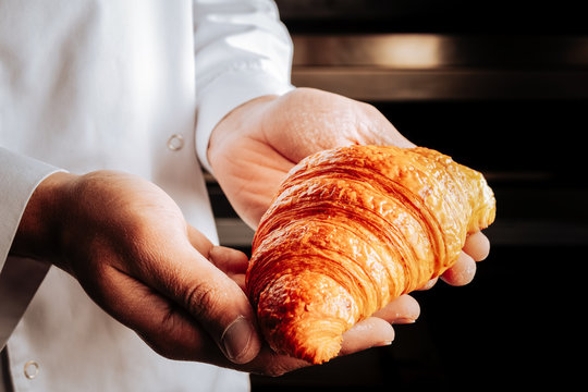 Nice little yummy croissant in hands of professional baker