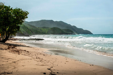 Hill Side On The Sandy Beach 
