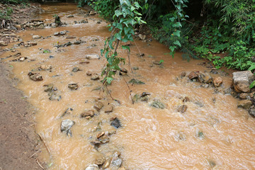Disaster water in forest.