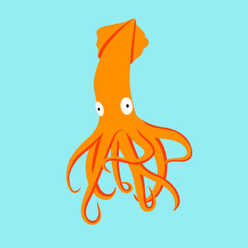 Orange squid animal flat character on cayn background. Cartoon calamary for design, logo, background, card, print, sticker