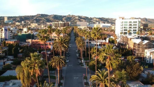 Palm tree lined street in Beverly Hills with Hollywood Hills in background on a late sunny, clear afternoon