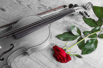 Fototapeta premium Violin and red rose