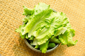 Green oak is fresh vegetable