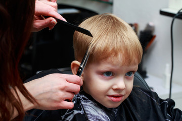 The little boy in the barber shop