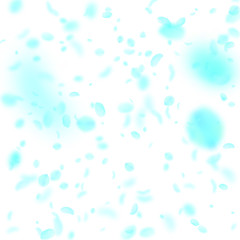 Turquoise flower petals falling down. Great romant