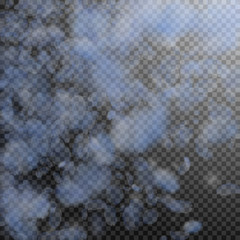 Light blue flower petals falling down. Stunning ro