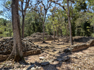 Copan archaeological site of Mayan civilization, not far from the border with Guatemala. It was the...