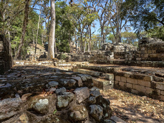 Copan archaeological site of Mayan civilization, not far from the border with Guatemala. It was the...
