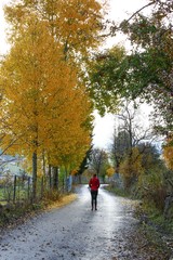 Woman walking on misty autumn forest road .turkey