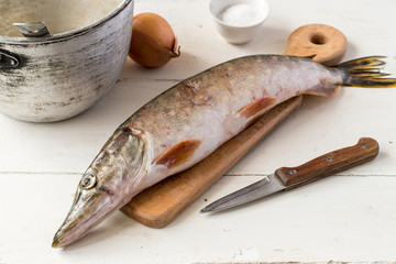 Fresh river fish pike on a wooden cutting board on an old table. Selective focus.