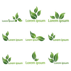 Leaf  realistic vector logotypes,  logo set of nine beautiful nature sign, spring time , for spa, organic  food or alternative medicine center web and print . 