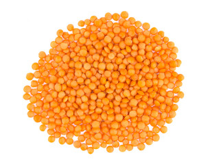 Lentil isolated on white background