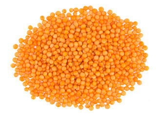 Lentil isolated on white background