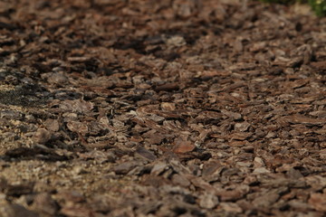 花と緑のガーデニング