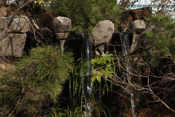 花と緑のガーデニング