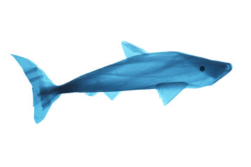 Plastic trash in the sea. Pollution of the world ocean waste. Silhouette of fish from a used plastic bag.