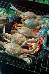 blue swimming crab grilled