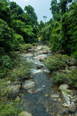 running of water stream from waterfall in tropical rain forest © jethita