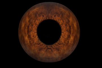 Human blue eye iris. Pupil in macro on black background