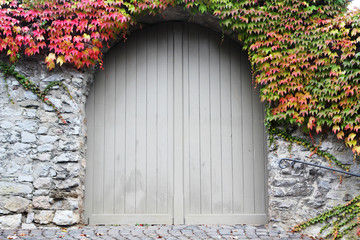 Old gates twined with ivy in Limburg am Lahn, Germany © nastyakamysheva