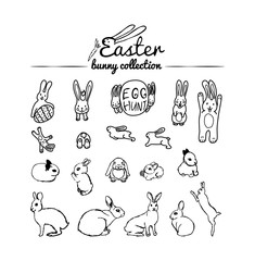 set of hares rabbits painted with a pen.