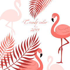 Tropical background with palm leaves and flamingos.Live coral color trend 2019. Design for postcards, posters, banners.