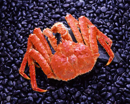 茹蟹 のストック写真 ロイヤリティフリーの画像 ベクター イラスト Adobe Stock