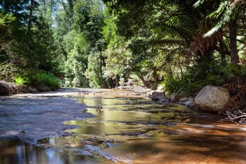 Fototapeta premium Above the pretty Liffey Falls in Tasmania, Australia, the creek bed is slabs of almost level rock.