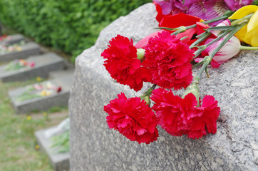 Red carnations on a gravestone granite stone.
