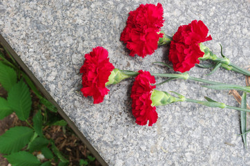 Red carnations on a gravestone granite stone.