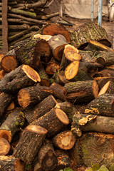 cut wood pieces