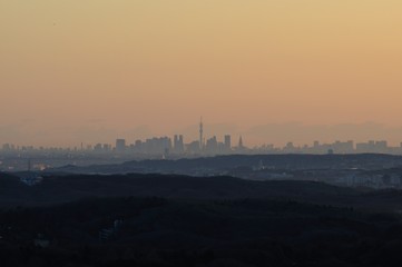 遠望 相模原市から朝焼け空の東京スカイツリー