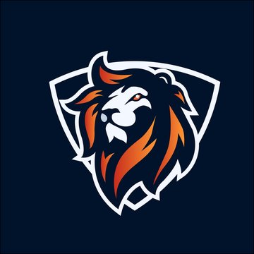 Lion mascot logo vector