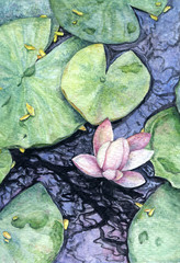 Hand painted watercolor water lilies in the pond  © Lileinaya
