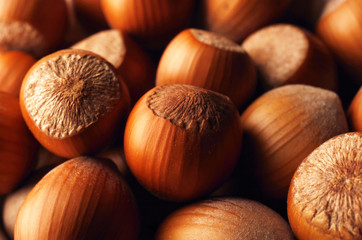 Hazelnuts close-up