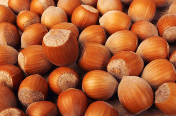 Hazelnuts close-up