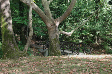 Agios Nikolaos Park Naousa Greece Europe