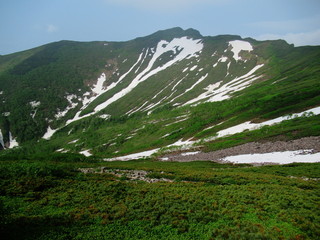 トムラウシ山頂への道　コマドリ沢稜線　初夏