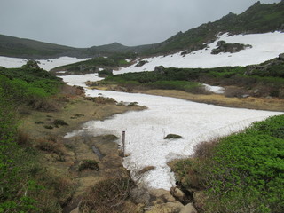 北海道トムラウシ　残雪のある山頂への道　初夏