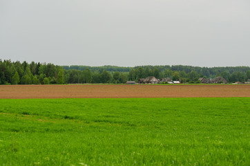 grey sky with green field village, the smoke from the chimney