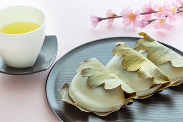 かしわ餅の写真素材