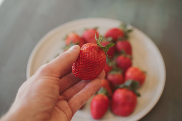 Man hand holding fresh strawberry.  Close up view of strawberries in hand.