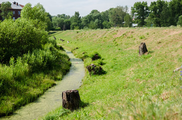 river in the field