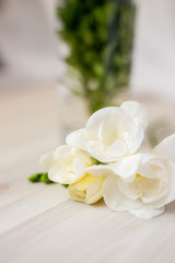 white freesia flowers