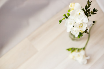 white freesia flowers