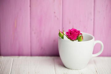 background of wild pink rose in a white cup on a wooden background