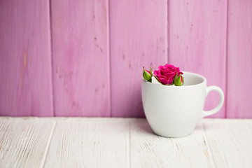 background of wild pink rose in a white cup on a wooden background