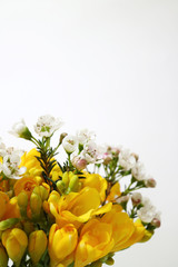 아름다운 봄 꽃들, 활짝핀 아름다운 꽃 ,꽃 오브젝트